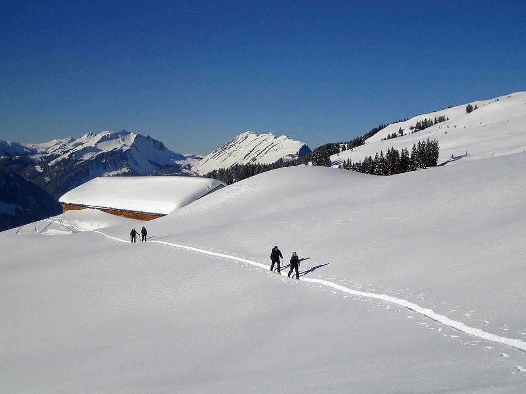 Caroline'S Appartement Au (Vorarlberg) Экстерьер фото
